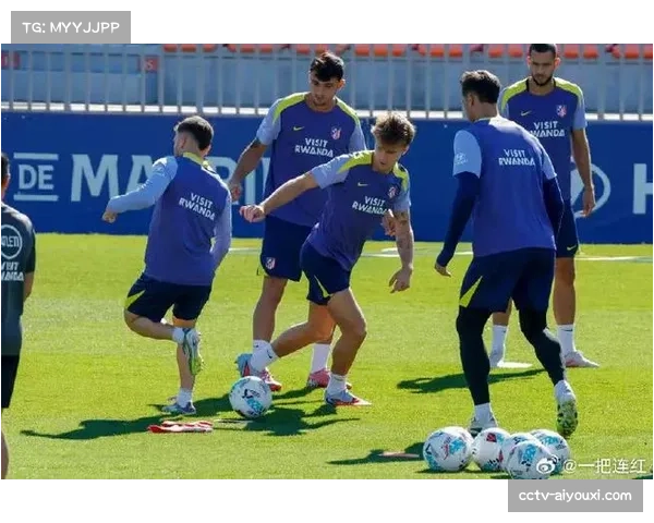 法国业余足球锦标赛决赛将在里昂主场举行